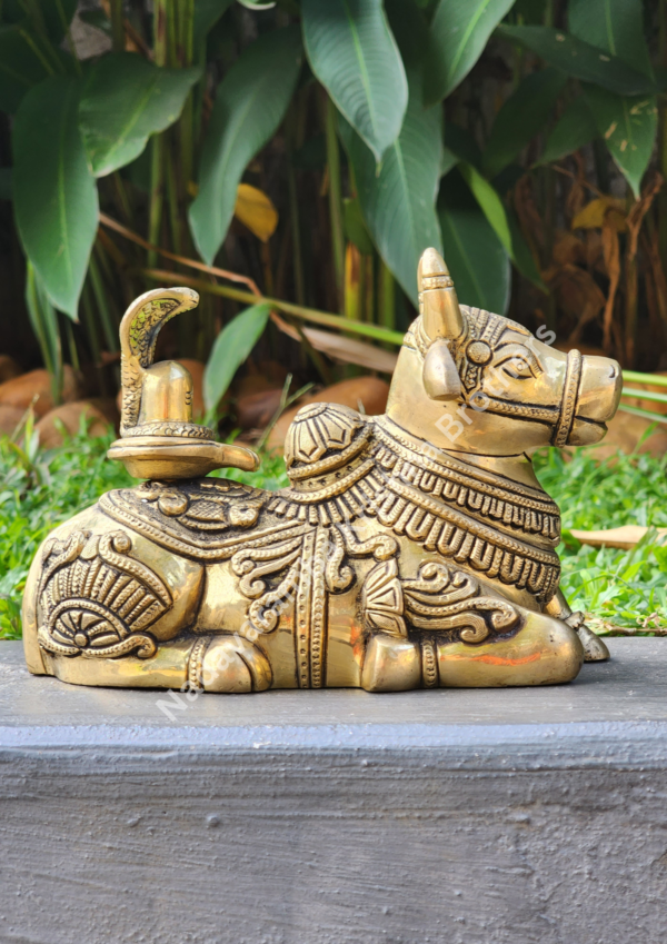 Nandi Brass Idol