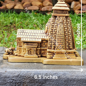 Kedarnath Temple Idol