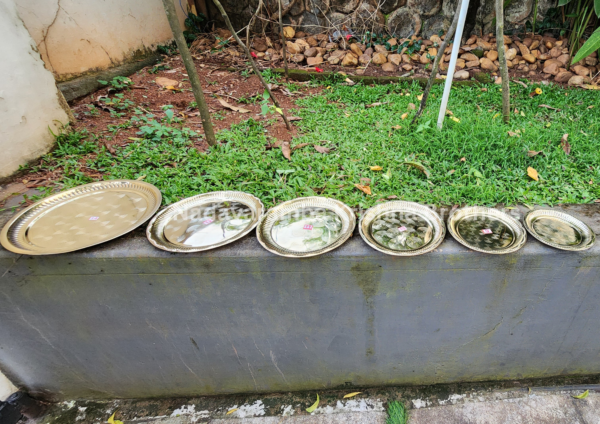 Round Brass Plates: 8 to 14 inches - Image 2