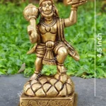 Hanuman with Sanjeevani