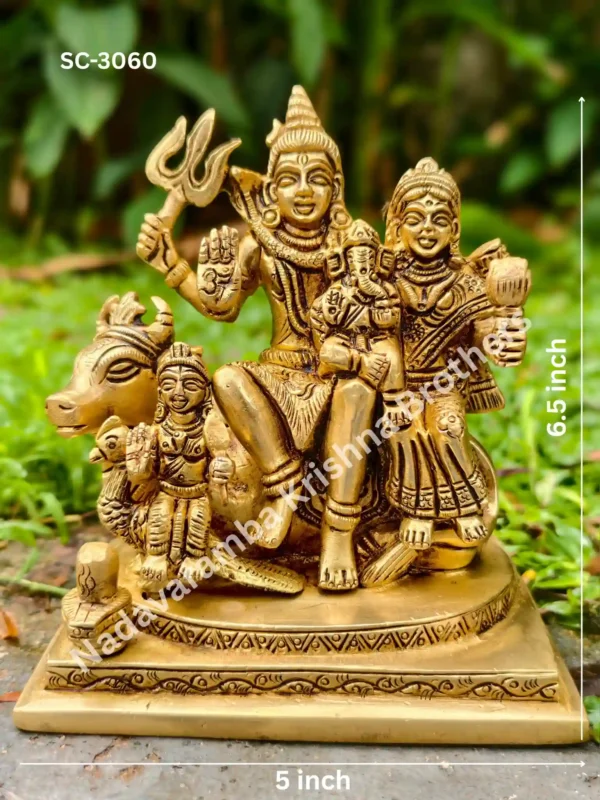 shiva family