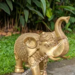 big elephant, normal design