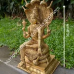 MAHAVISHNU WITH NAAG