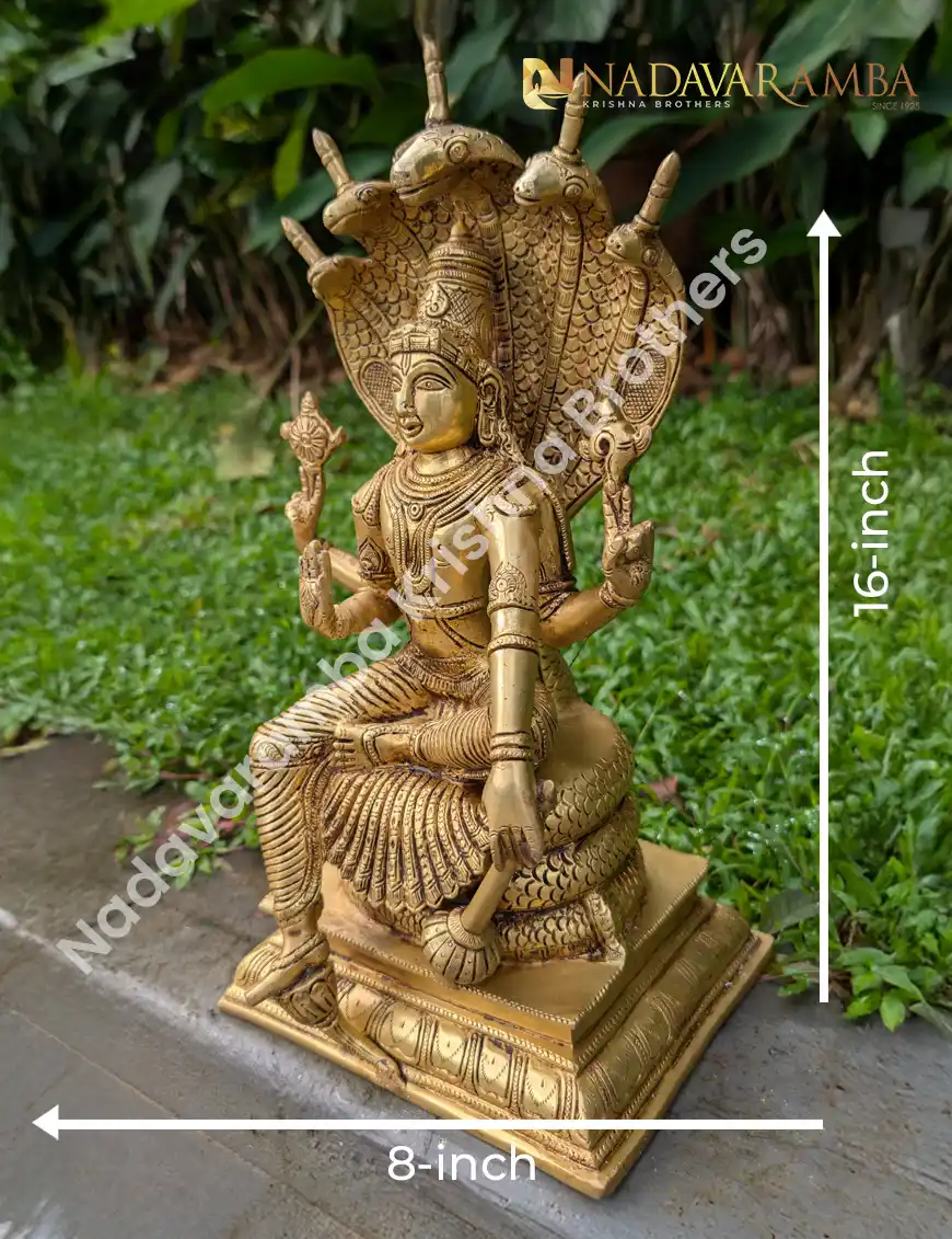 MAHAVISHNU WITH NAAG