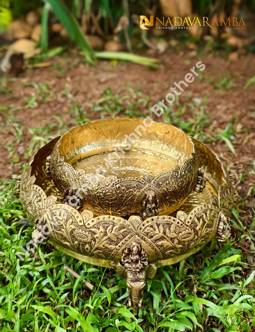 ELEPHANT LEG URULI-3