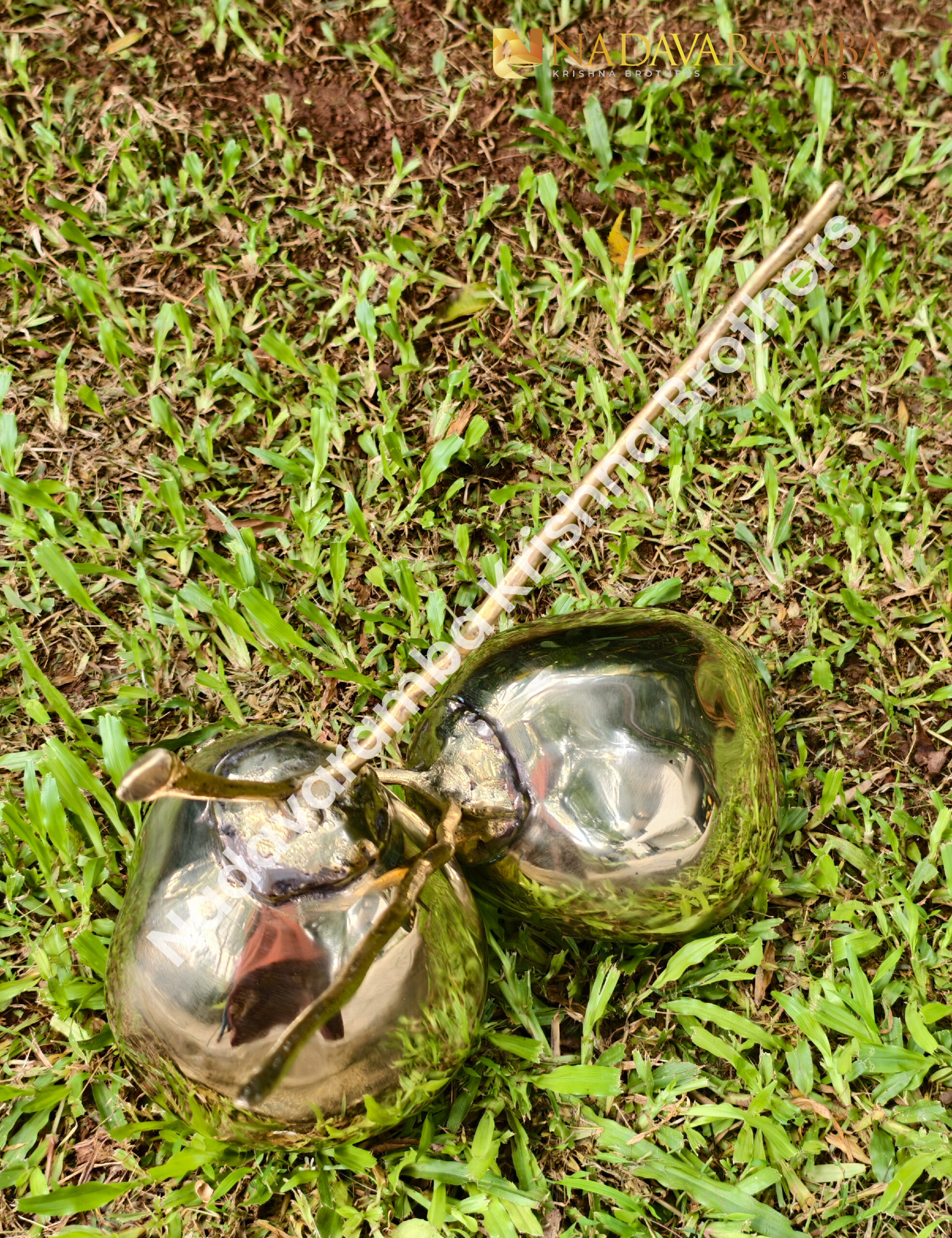 Bronze tender coconut-01